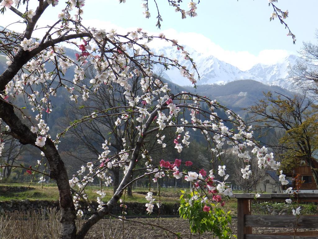 Heidihof Hotel Hakuba Exteriör bild