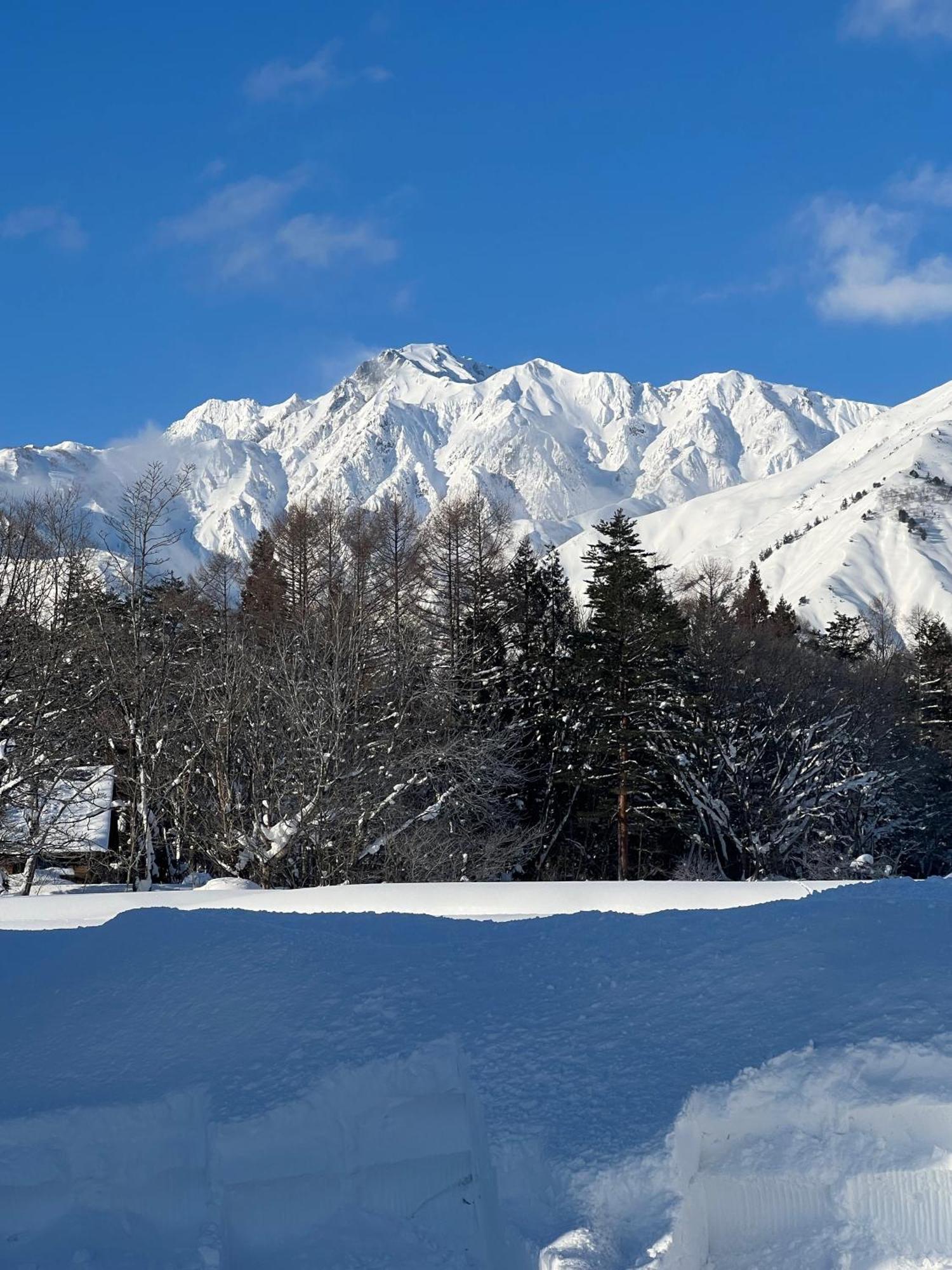 Heidihof Hotel Hakuba Exteriör bild