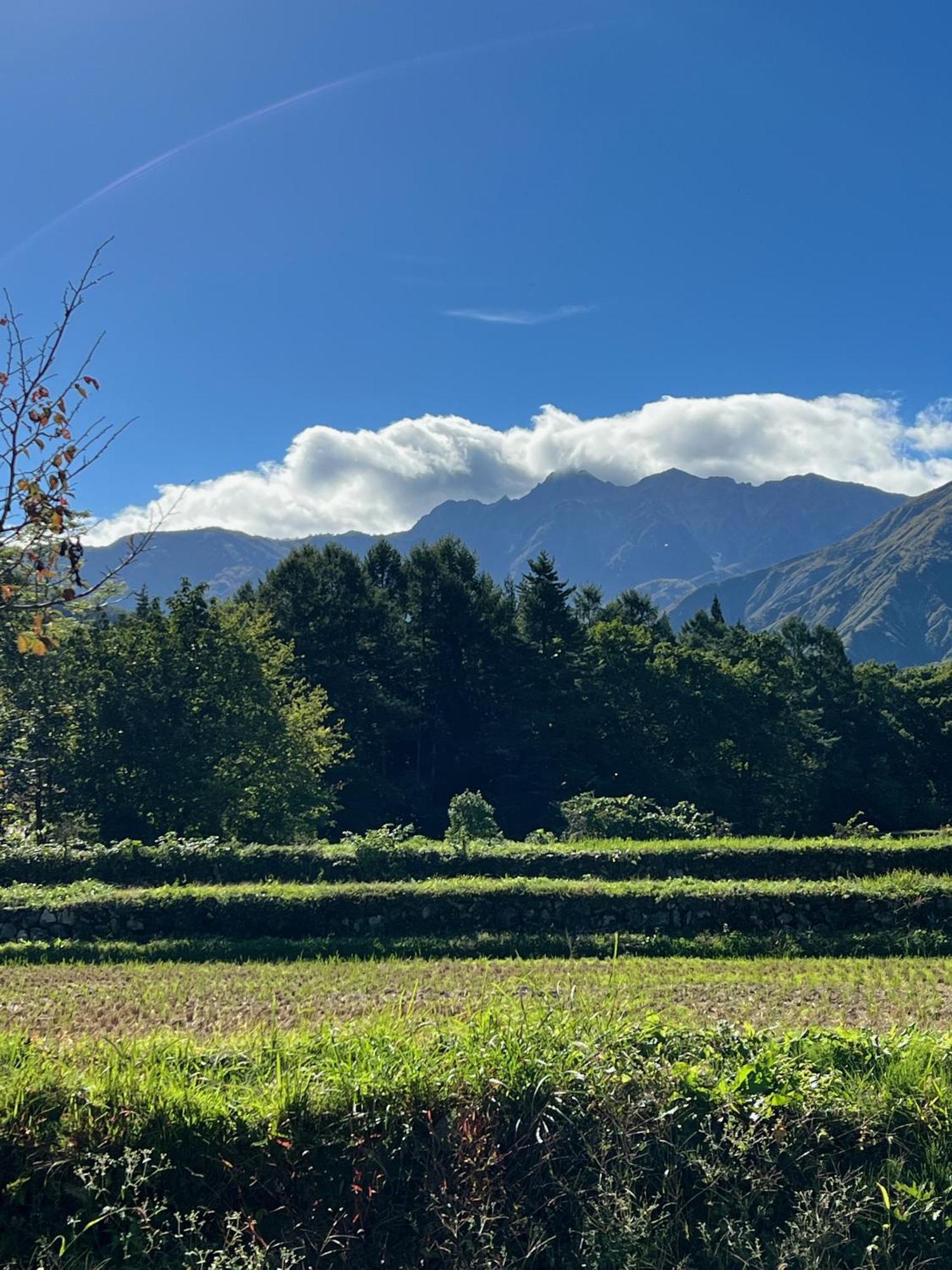 Heidihof Hotel Hakuba Exteriör bild